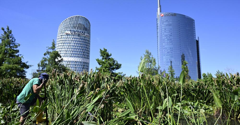 Mentre i Ceo giocano a Risiko, i risparmiatori restano senza banche? Intanto Nagel (Mediobanca) chiede aiuto a BlackRock per l&rsquo;Ops su Generali e Castagna (Bpm) forse punta a Mps, ma UniCredit?