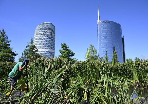 Mentre i Ceo giocano a Risiko, i risparmiatori restano senza banche? Intanto Nagel (Mediobanca) chiede aiuto a BlackRock per l&rsquo;Ops su Generali e Castagna (Bpm) forse punta a Mps, ma UniCredit?