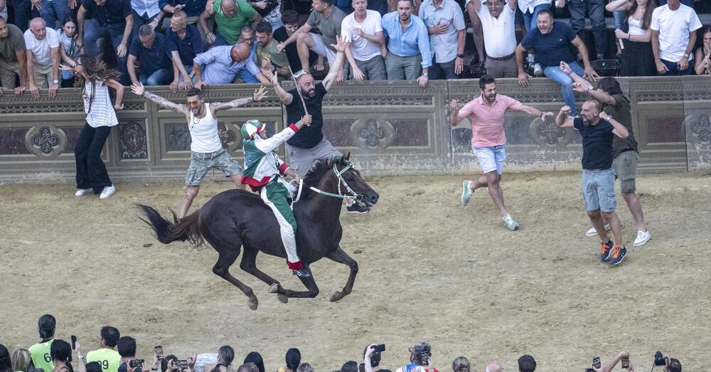 Ma quali maltrattamenti: il Palio di Siena &egrave; amore puro, e il cavallo &egrave; una divinit&agrave;. Ecco perch&egrave; pu&ograve; essere crudele, ma per i fantini. Ma chi sono i favoriti alla vittoria?