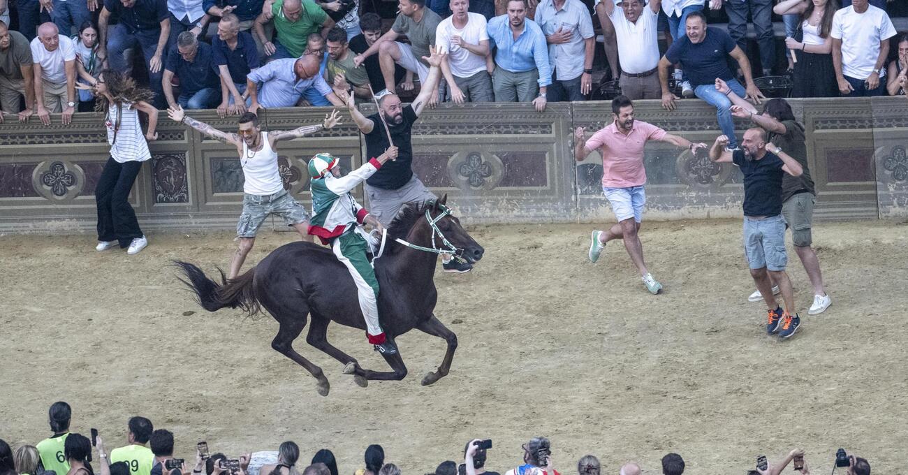 Ma quali maltrattamenti: il Palio di Siena &egrave; amore puro, e il cavallo &egrave; una divinit&agrave;. Ecco perch&egrave; pu&ograve; essere crudele, ma per i fantini. Gingillo e Valdimontone vincono una gara magistrale