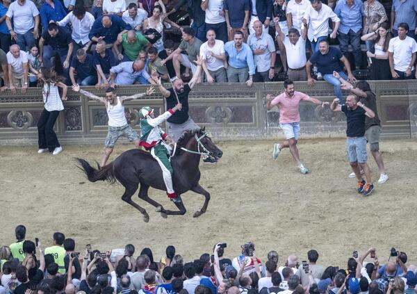 Ma quali maltrattamenti: il Palio di Siena &egrave; amore puro, e il cavallo &egrave; una divinit&agrave;. Ecco perch&egrave; pu&ograve; essere crudele, ma per i fantini. Ma chi sono i favoriti alla vittoria?