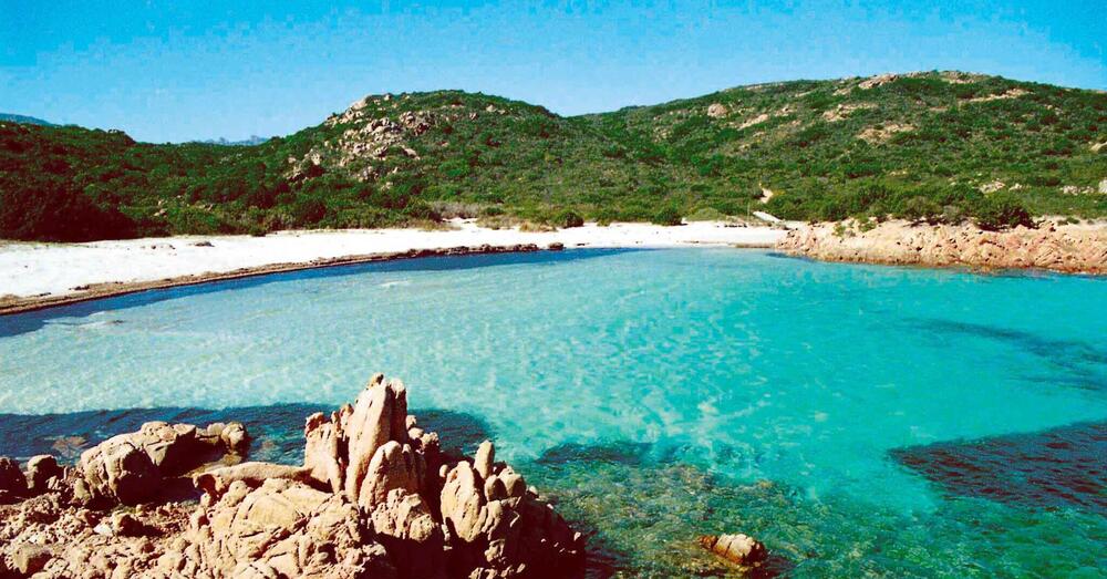 EMERGENZA TURISMO IN SARDEGNA: Ma cosa &egrave; successo a La Maddalena? Altro che &ldquo;Spiaggia sabbiosa, selvaggia e incontaminata&rdquo;, vi spieghiamo come l&rsquo;hanno ridotta tra tende, sdrai e ombrelloni ammucchiati