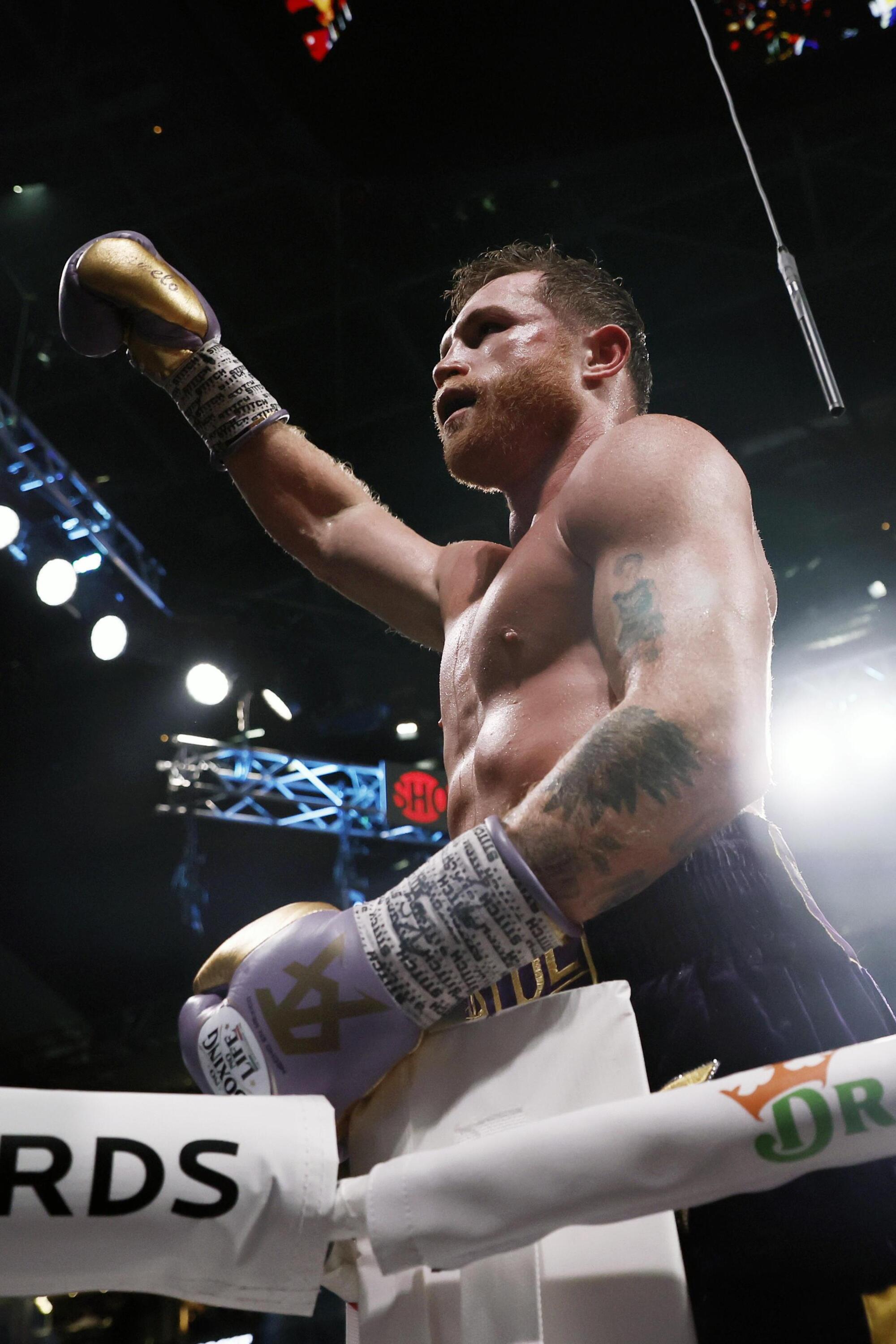 Canelo, il pugile &quot;incontrista&quot;