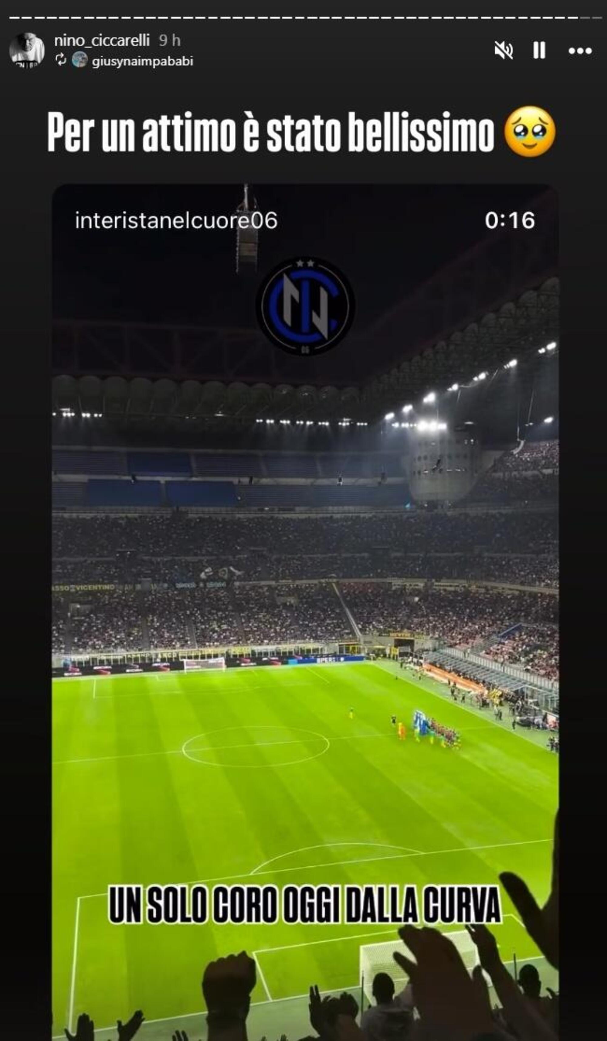 Un solo coro dalla Nord, per Chivu