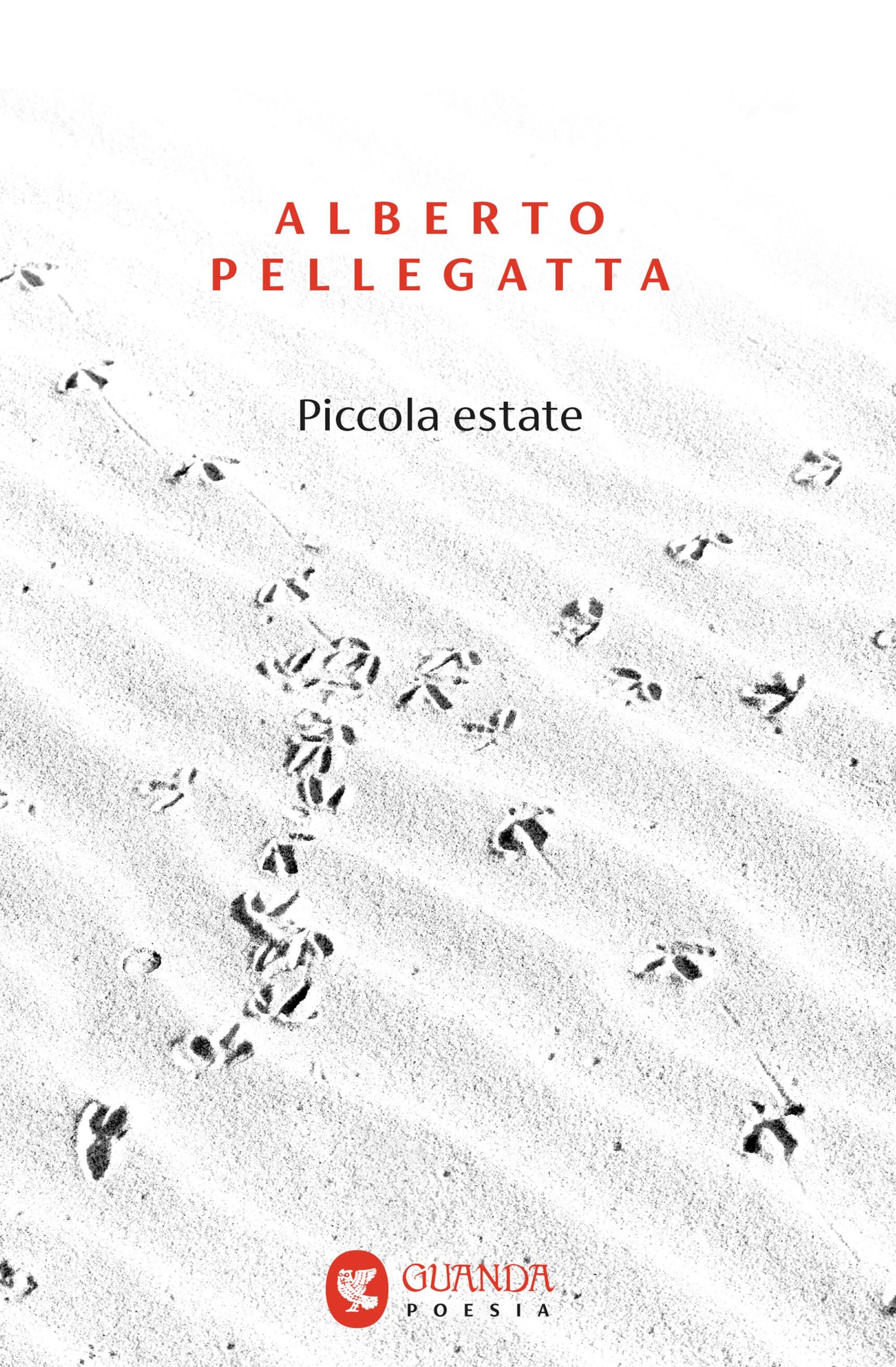 "Piccola estate" di Alberto Pellegatta (Guanda, 2025)