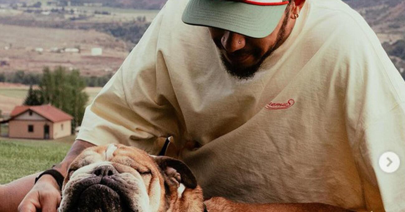 Voi che attaccate Lewis Hamilton perch&eacute; ha bidonato la Ferrari per stare con il suo cane, fatevelo dire chiaramente: non avete capito un caz*o