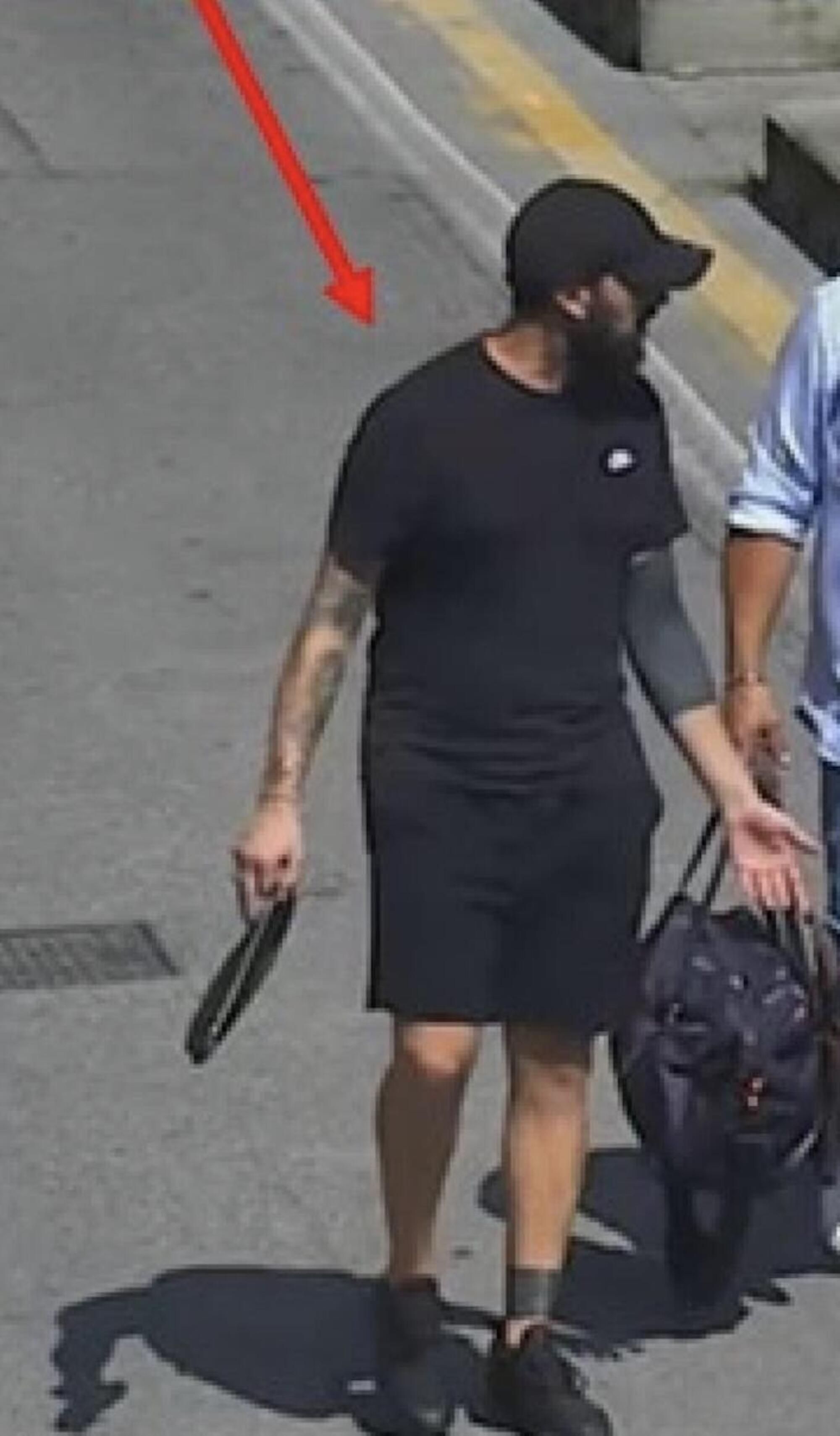 Daniel D'Alessandro, "Bellebuono"