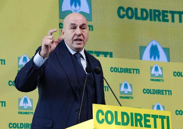 Ok, ma a chi si riferisce Crosetto quando parla degli “italiani insospettabili corrotti dalla Russia” nel libro di Bruno Vespa?