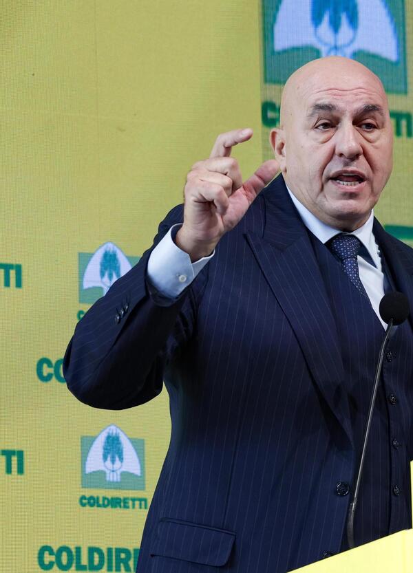 Ok, ma a chi si riferisce Crosetto quando parla degli “italiani insospettabili corrotti dalla Russia” nel libro di Bruno Vespa?