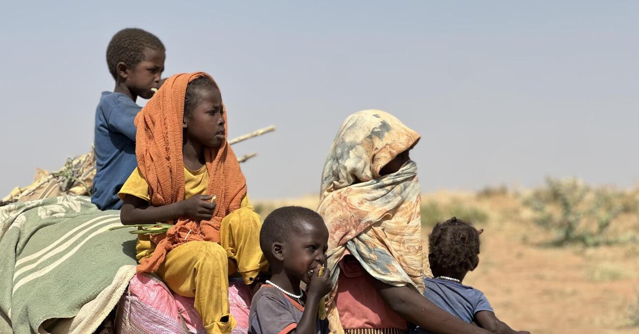 Il genocidio di cui qualcuno (timidamente) comincia a parlare &egrave; quello in Sudan, molto pi&ugrave; grave di Gaza. E qui vi spieghiamo tutto quello che succede in Darfur