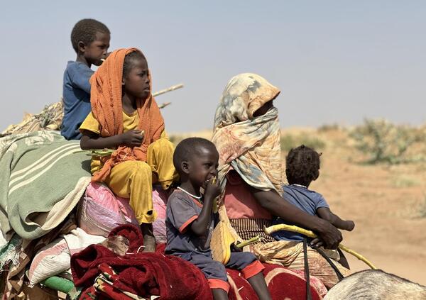 Il genocidio di cui qualcuno (timidamente) comincia a parlare &egrave; quello in Sudan, molto pi&ugrave; grave di Gaza. E qui vi spieghiamo tutto quello che succede in Darfur