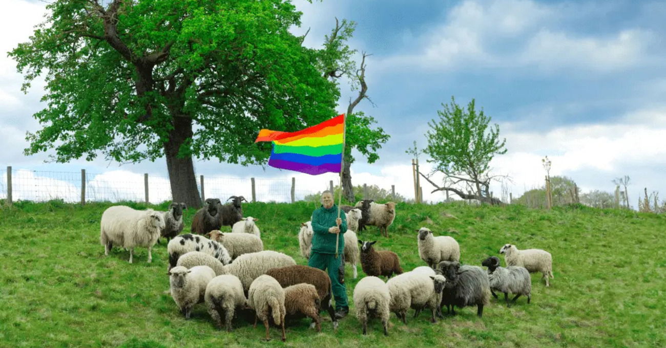 Esistono pecore gay e producono lana omosessuale: l&rsquo;ultima collezione arrivata da Grindr dedicata a motociclisti e rockstar LGBT
