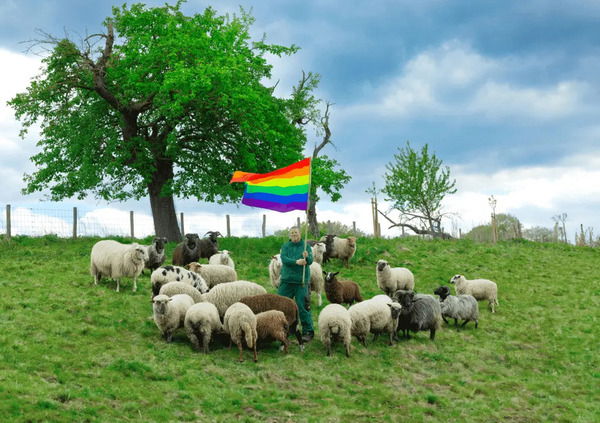 Esistono pecore gay e producono lana omosessuale: l&rsquo;ultima collezione arrivata da Grindr dedicata a motociclisti e rockstar LGBT