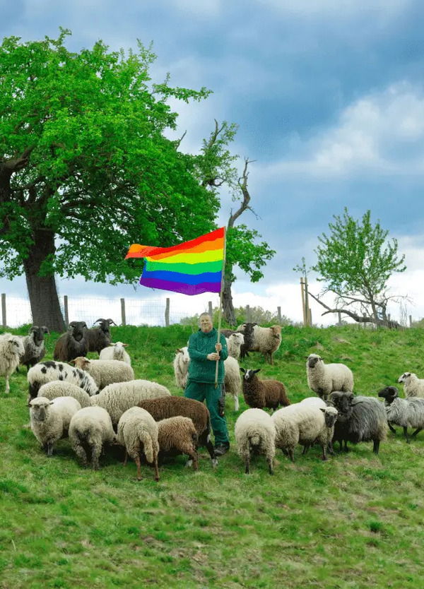 Esistono pecore gay e producono lana omosessuale: l&rsquo;ultima collezione arrivata da Grindr dedicata a motociclisti e rockstar LGBT