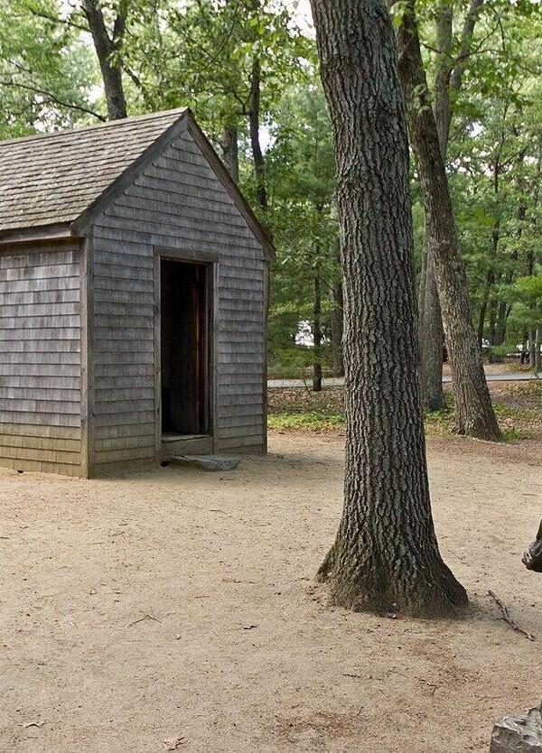 La famiglia nel bosco ha ragione: la citt&agrave; impoverisce. E la retorica della sinistra (alla Raimo su Domani) ci rende schiavi