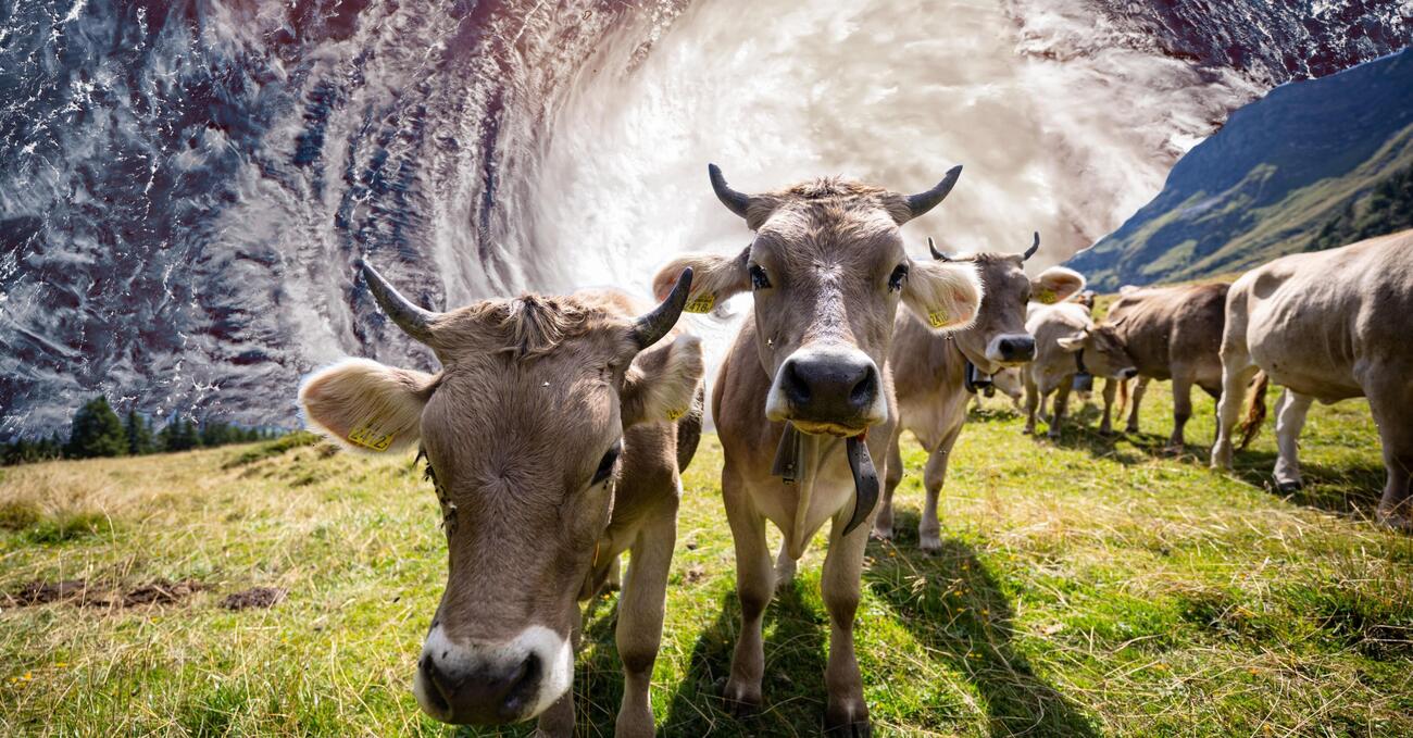 In Svizzera i socialisti volevano combattere il cambiamento climatico con una tassa sui super ricchi, ma il popolo e i dati li sbugiardano 