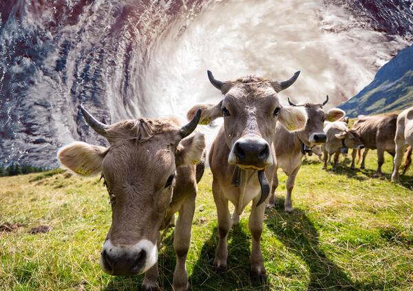 In Svizzera i socialisti volevano combattere il cambiamento climatico con una tassa sui super ricchi, ma il popolo e i dati li sbugiardano 