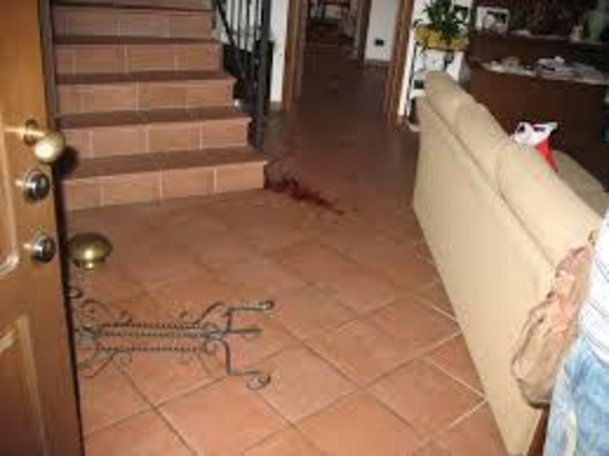 20251202 225404572 5397