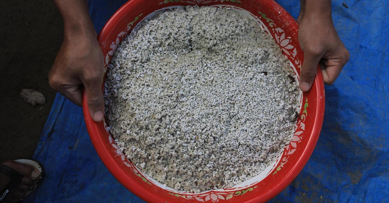 Se volete capire il sistema Pavia del caso Garlasco dell&#039;imprenditore del riso Fabio Aschei dovete sapere. Ecco la sua storia tra servizi segreti, criminalit&agrave; e quei nomi che&nbsp;tornano&nbsp;sempre