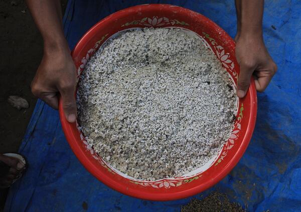 Se volete capire il sistema Pavia del caso Garlasco dell&#039;imprenditore del riso Fabio Aschei dovete sapere. Ecco la sua storia tra servizi segreti, criminalit&agrave; e quei nomi che&nbsp;tornano&nbsp;sempre