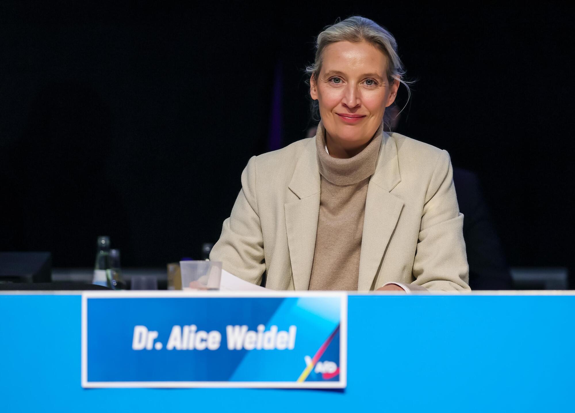 Alice Weidel Afd Ansa