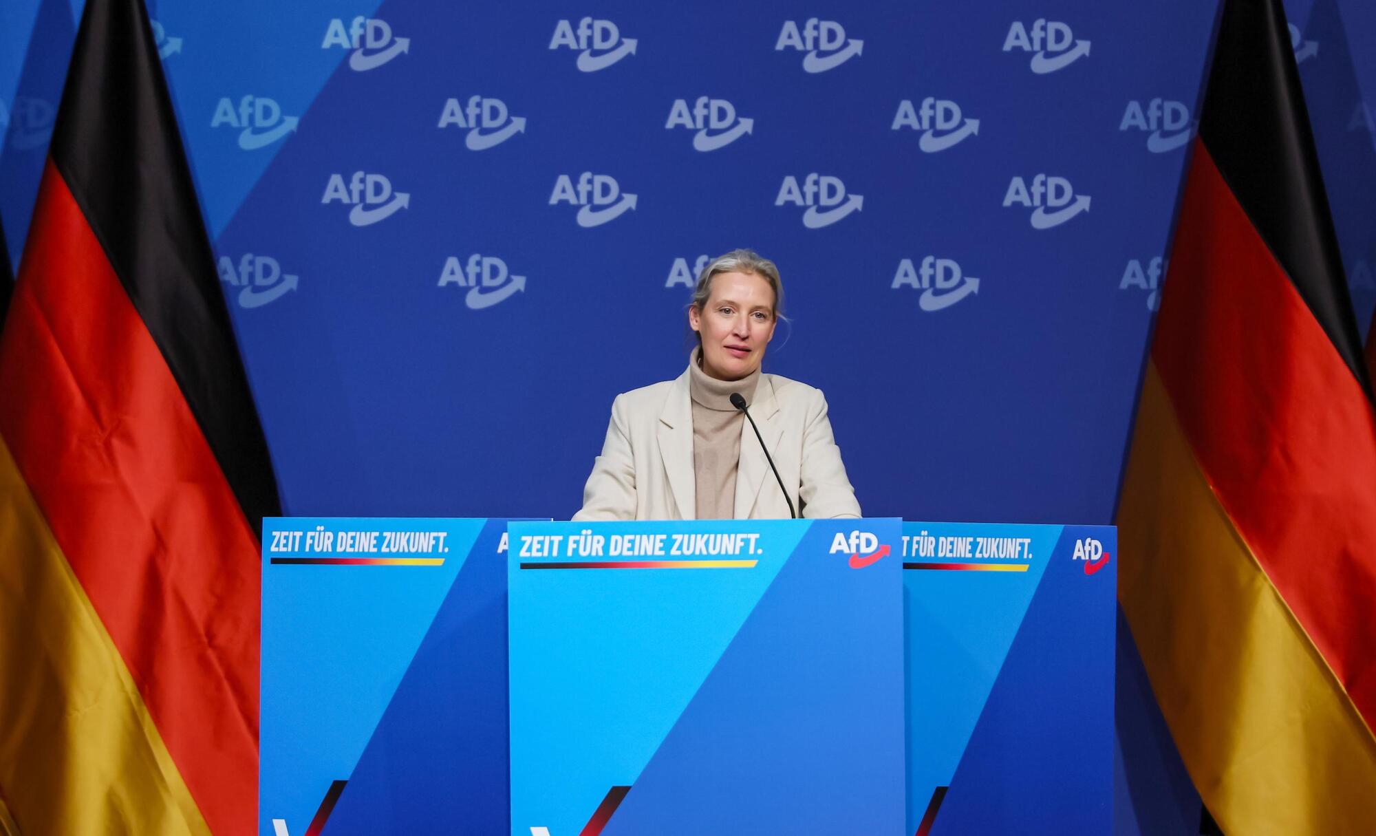 Alice Weidel Afd Ansa