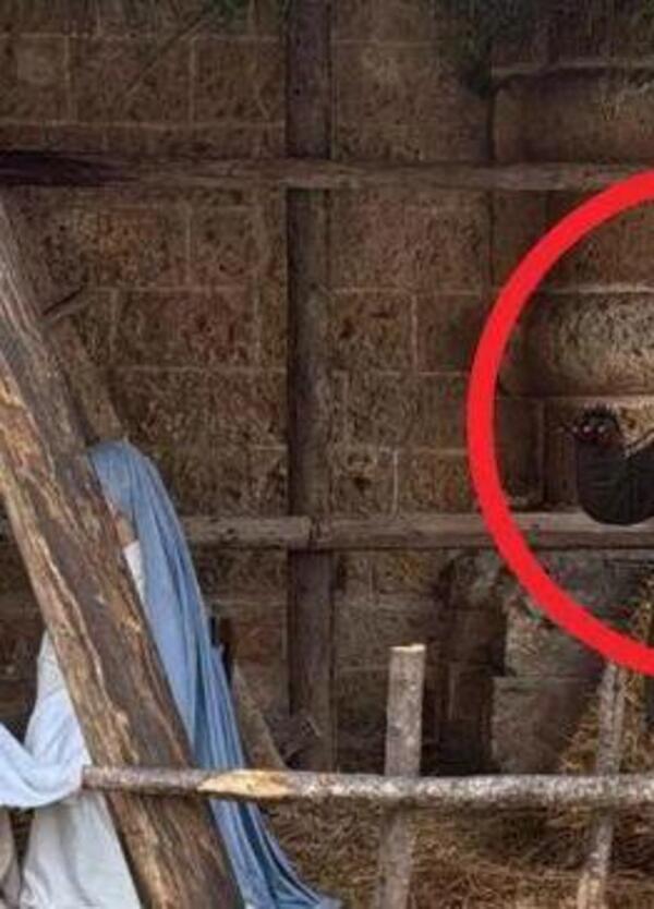 Il latitante geniale che si &egrave; finto statua nel presepe. Come sono andate veramente (insomma) le cose a Galatone