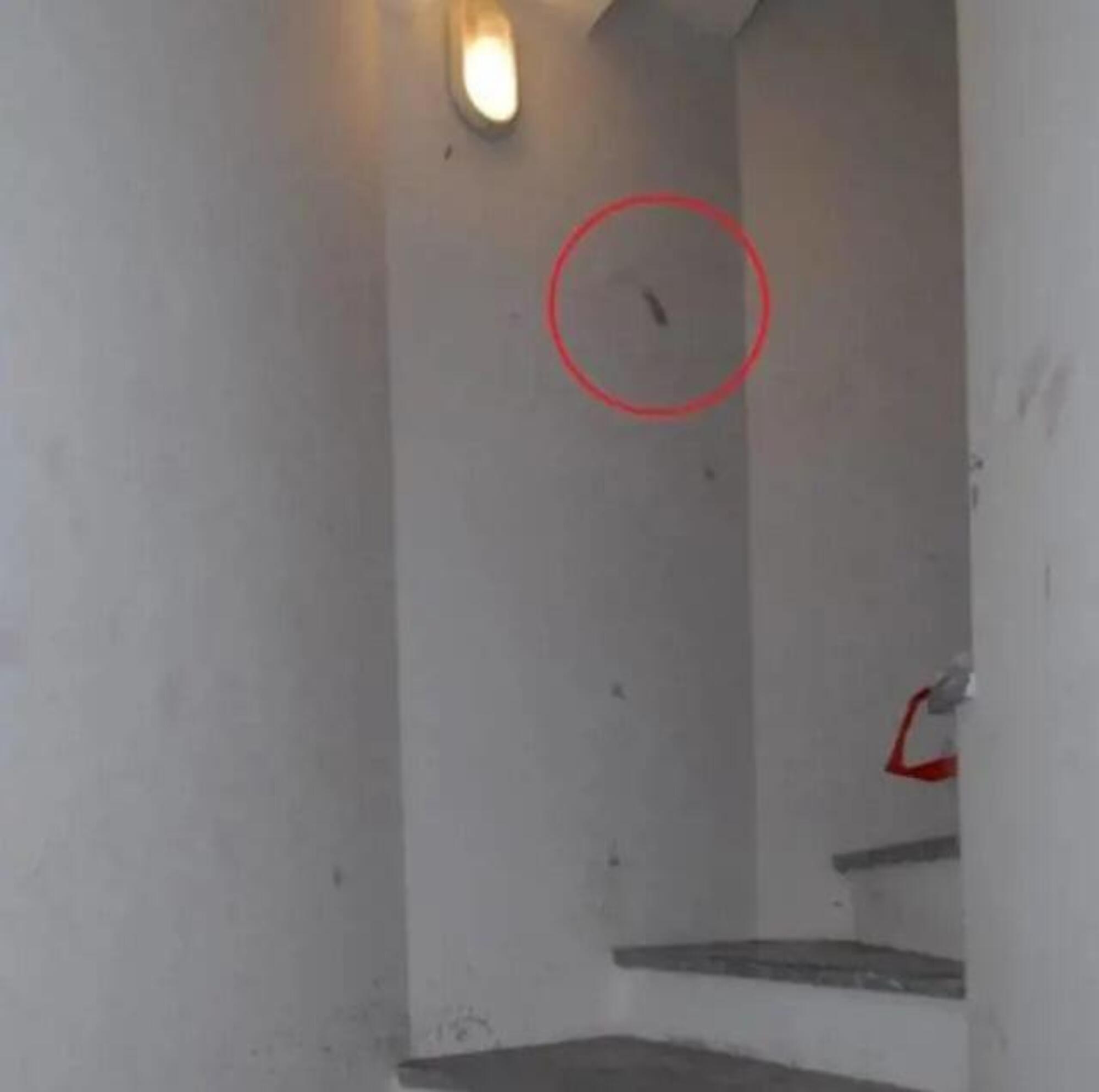 20251221 223729029 3975