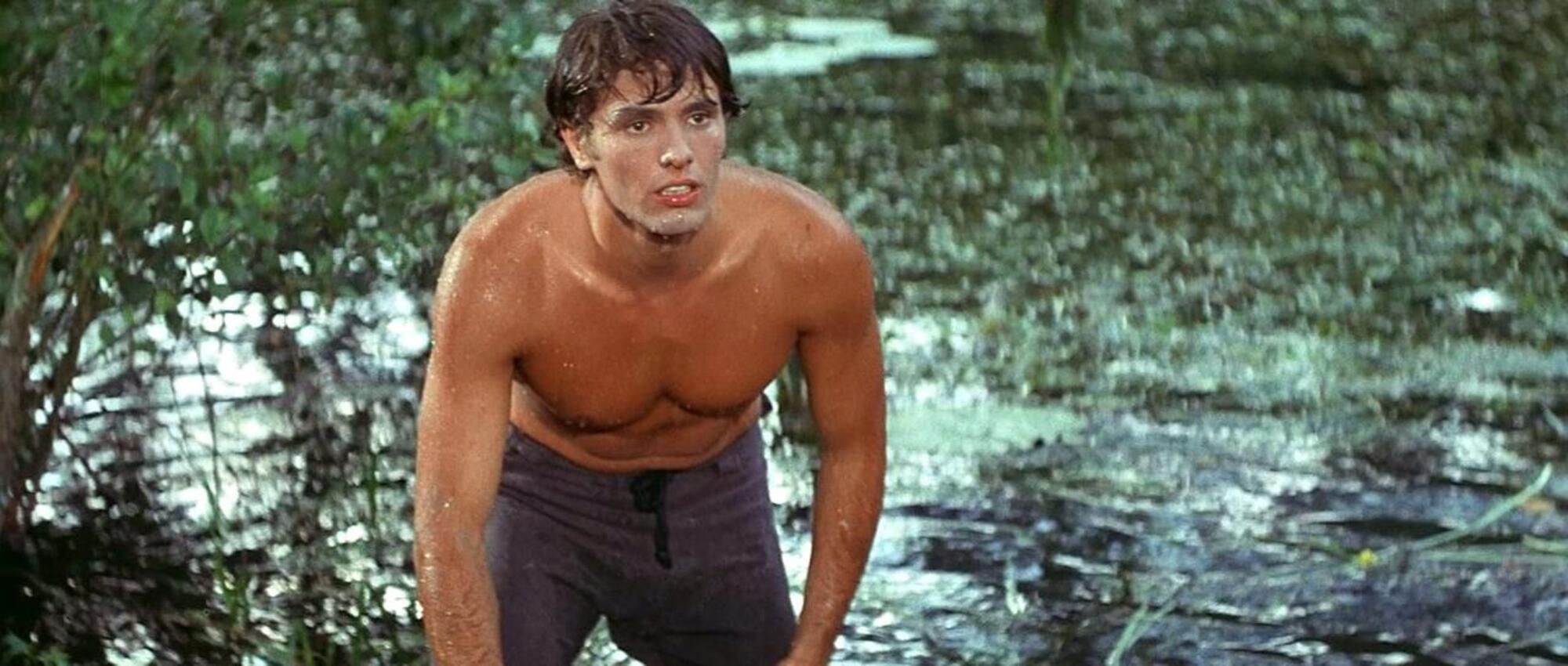 Giuliano Gemma in "Angelica"