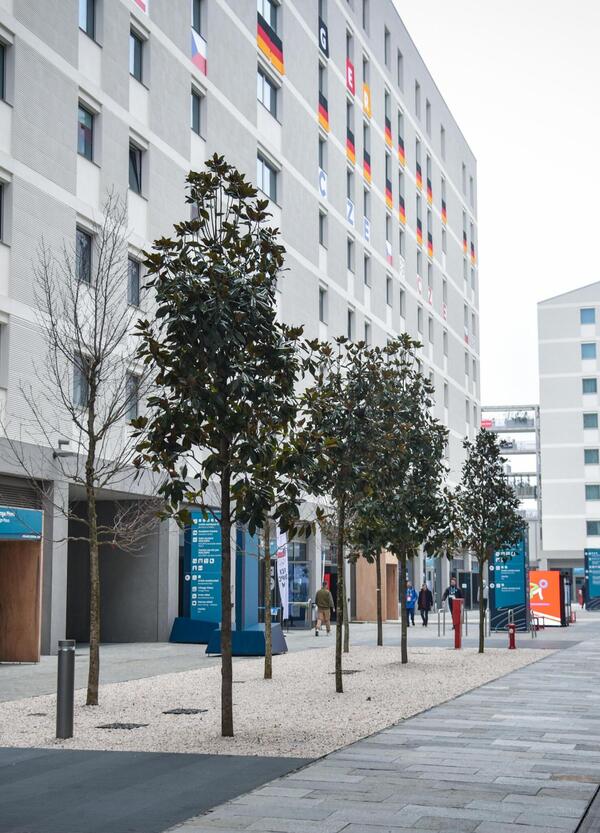 Come si mangia alle Olimpiadi? Tortini al cioccolato, pizza e forme di parmigiano. Su TikTok le recensioni degli atleti al Villaggio di Milano Cortina. E gli alloggi? Meglio di Parigi