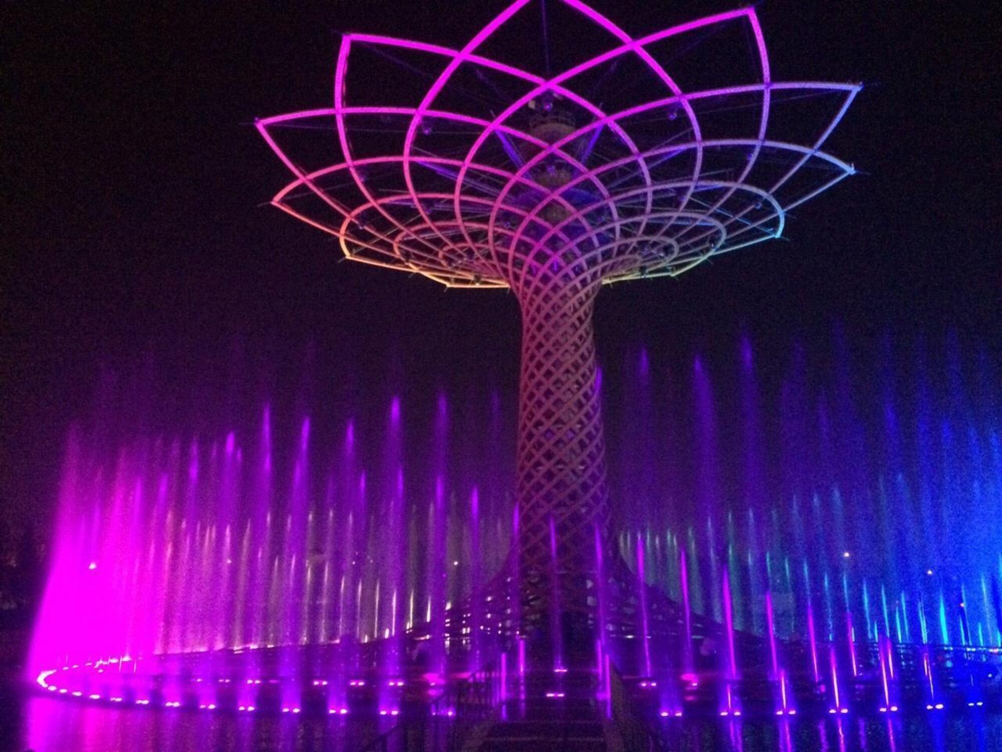 20260206 111321793 3142