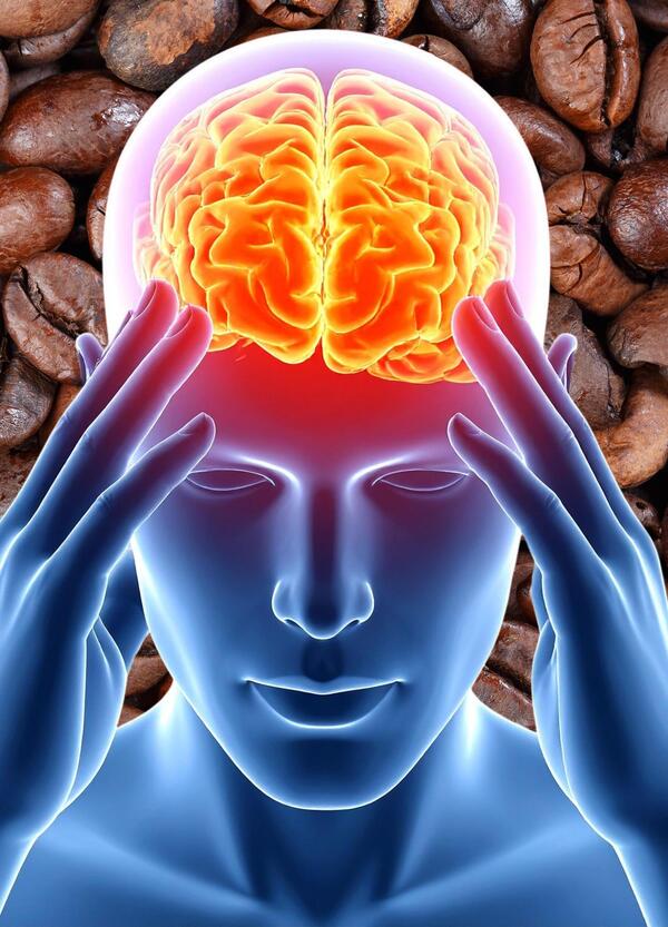 2-3 caff&egrave; al giorno proteggono dalla demenza? Cosa dice lo studio pi&ugrave; grande mai fatto dagli scienziati di Harvard