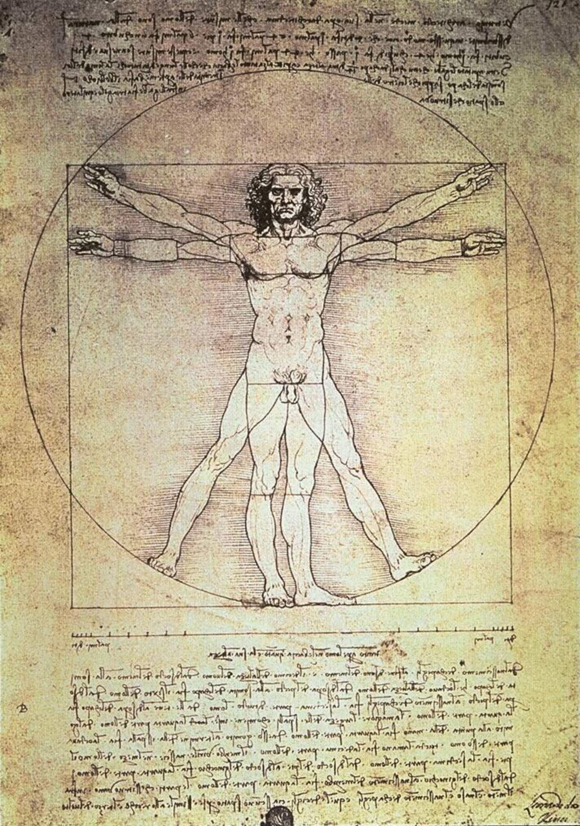 L'Uomo Vitruviano di Leonardo da Vinci