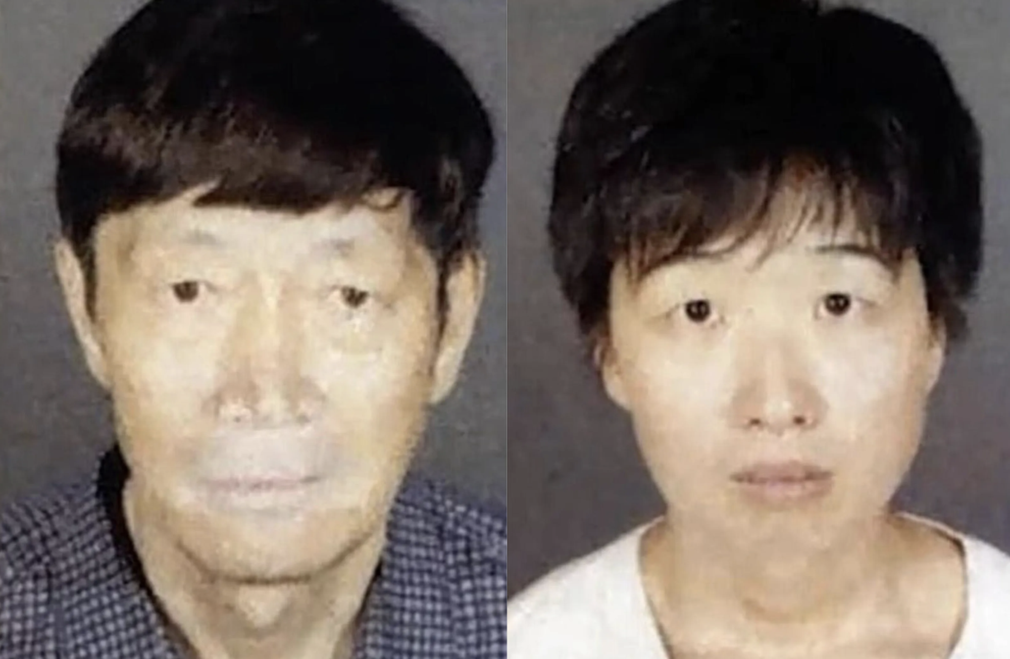 Guojun Xuan (64 anni) e Silvia Zhang (36 anni) la coppia che avrebbe ottenuto ventidue bambini con la maternit&agrave; surrogata