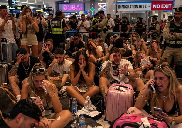 Volano a Dubai per non pagare le tasse, poi put*ane, influencer e fuffa-guru invocano i voli di Stato. E per gli animali domestici invece chiedono l&rsquo;eutanasia