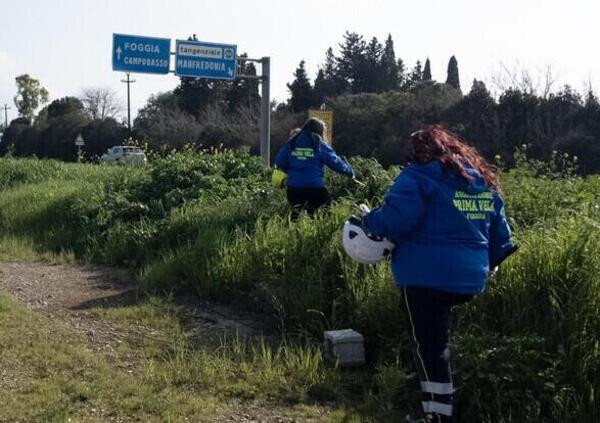 Elena scomparsa a Foggia: ora si cerca il fantasma di un&rsquo;invisibile? Le indagini, il mistero e quella foto diffusa per aiutare chi non ha saputo aiutarla