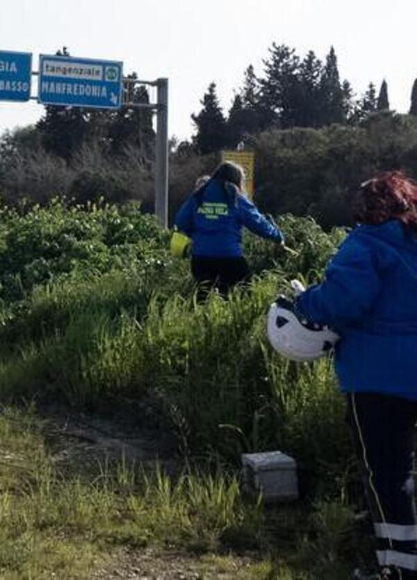Elena scomparsa a Foggia: ora si cerca il fantasma di un&rsquo;invisibile? Le indagini, il mistero e...