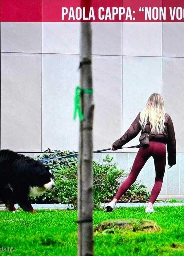 Delitto di Garlasco: Paola Cappa beccata da Giletti, De Rensis tra &ldquo;Gianni, Luigi e fagiani&rdquo; e i video (rimossi poi ripubblicati) di Bugalalla. Possiamo dirlo? Il nostro eroe &egrave; Boogie