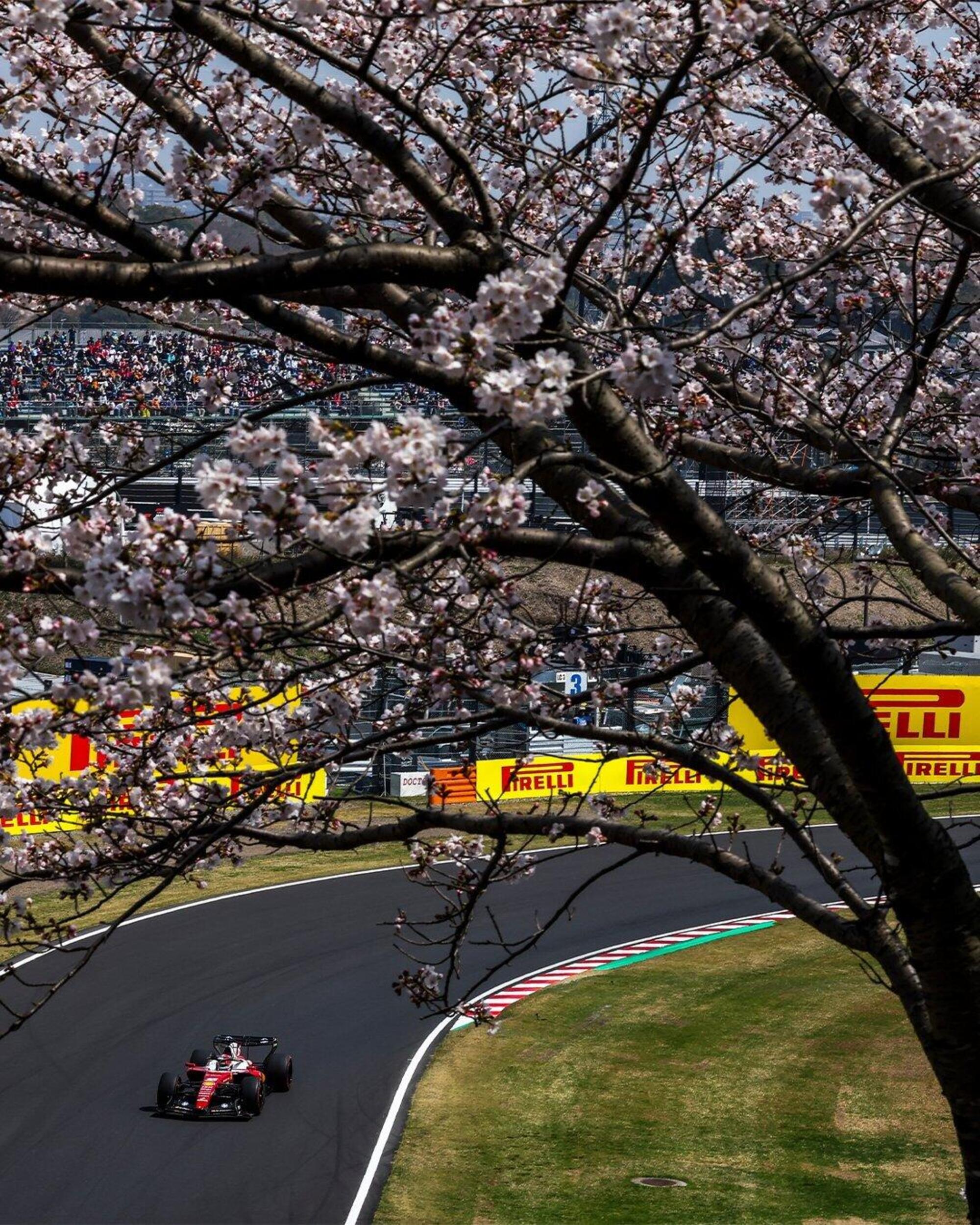 Charles Leclerc Suzuka