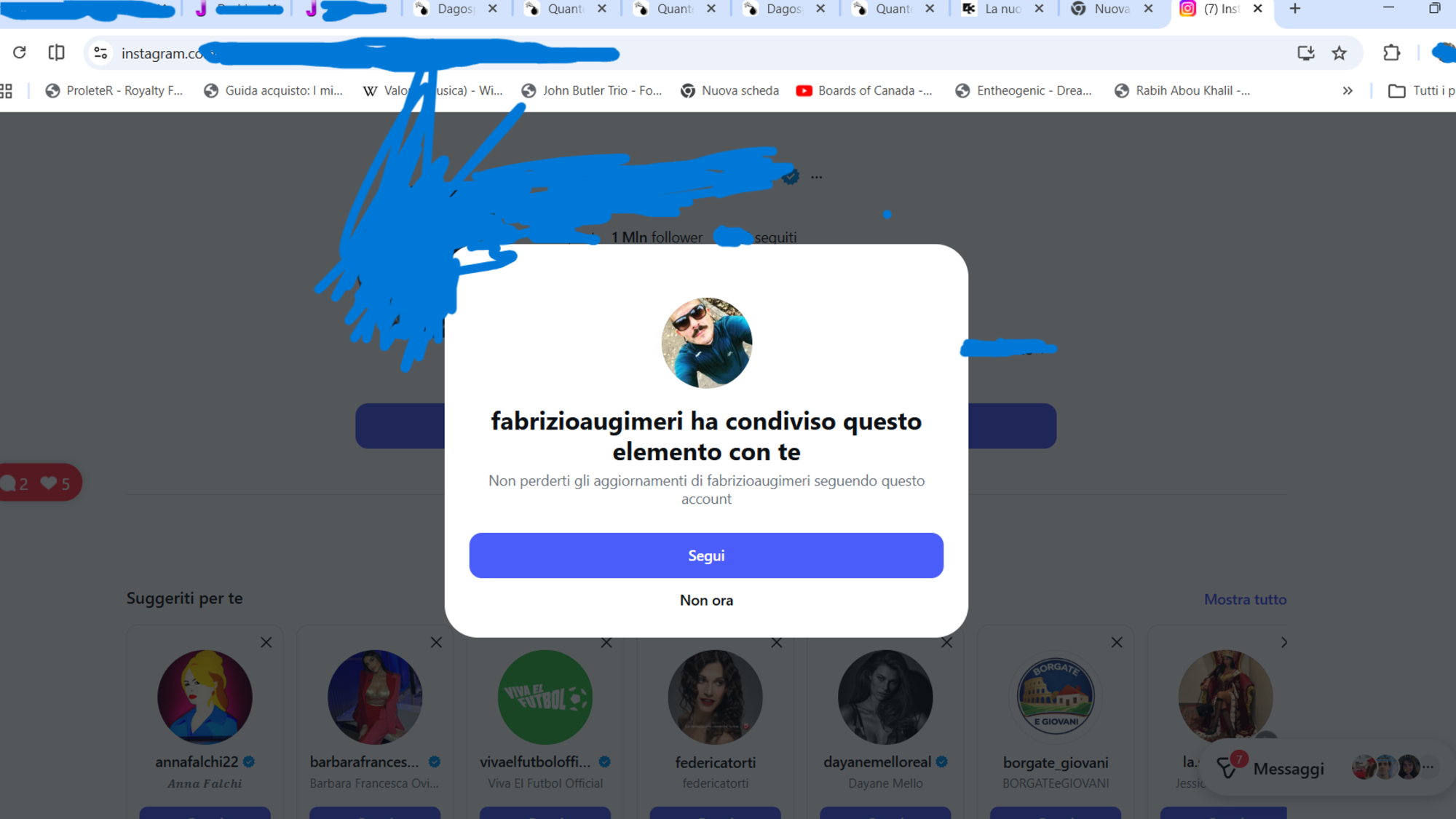 Lo screenshot di quel che si vede aprendo il link incriminato