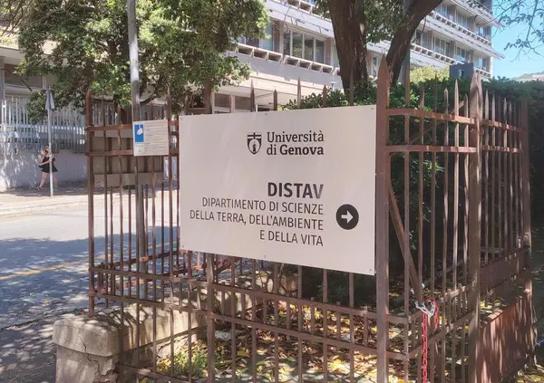 Sub morti alle Maldive, lo studente della prof Montefalcone a MOW: "quello che non dimentico..."