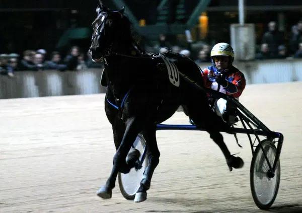 Dio &egrave; Morto e Varenne se ne va a 31 anni: storia di un cavallo da 6 milioni che scrisse una leggenda