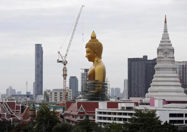 Il Muay Thai, la giungla e tre settimane di fuoco Thailandia: il reportage definitivo