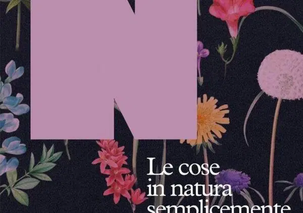 Le cose in natura semplicemente crescono. O gli anni del pensiero liquido